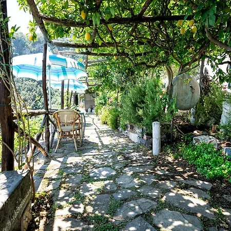 Bed & Breakfast Ercole Di Amalfi