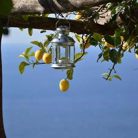 Ercole Di Bed & Breakfast