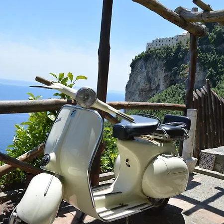Ercole Di Amalfi