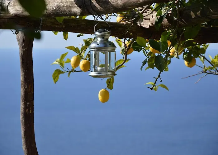 Ercole Di Bed & Breakfast